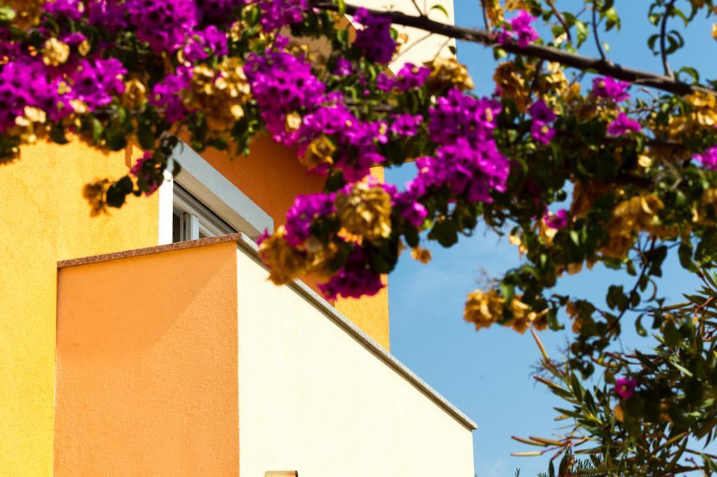 Apartments Villa Orange ซาดาร์ ภายนอก รูปภาพ